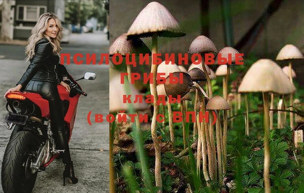 герыч Бородино
