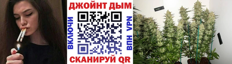 Бошки Шишки индика  гидра ТОР  Цоци-Юрт 